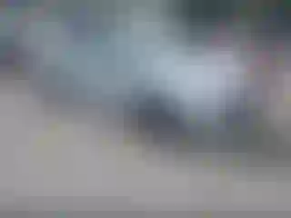 Vehicle Image- 2020 Toyota Prius