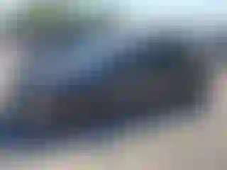 Vehicle Image- 2019 Toyota Prius