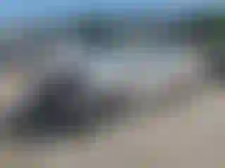 Vehicle Image- 2017 Toyota Prius