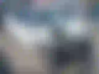 Vehicle Image- 2019 Toyota Prius