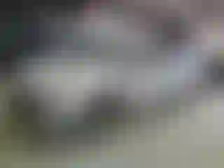 Vehicle Image- 2020 Toyota Prius