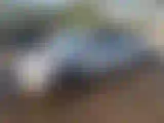 Vehicle Image- 2020 Toyota Prius