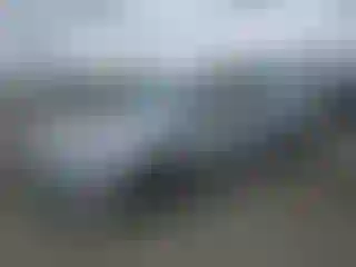 Vehicle Image- 2016 Toyota Prius