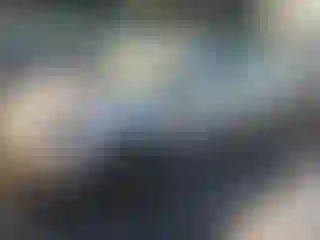 Vehicle Image- 2019 Toyota Prius