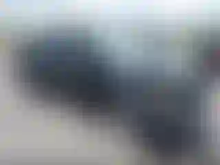 Vehicle Image- 2019 Toyota Prius