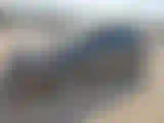 Vehicle Image- 2019 Toyota Prius