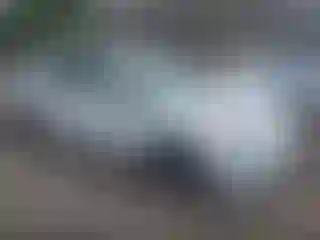 Vehicle Image- 2017 Toyota Prius