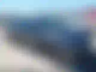 Vehicle Image- 2019 Toyota Prius