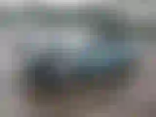 Vehicle Image- 2019 Toyota Prius