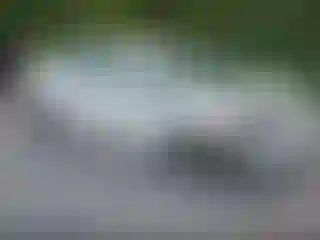 Vehicle Image- 2018 Toyota Prius