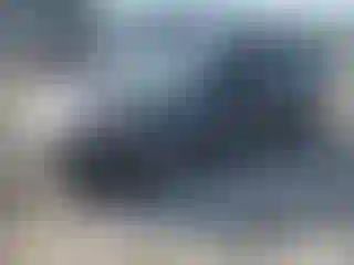 Vehicle Image- 2019 Toyota Prius