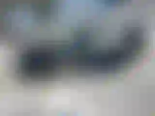 Vehicle Image- 2019 Toyota Prius