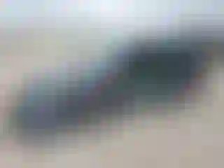 Vehicle Image- 2019 Toyota Prius