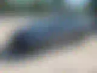 Vehicle Image- 2016 Toyota Prius