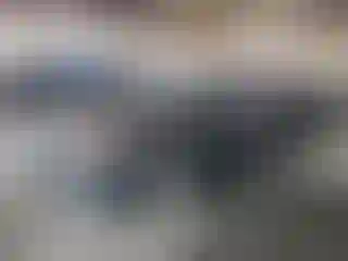 Vehicle Image- 2016 Toyota Prius