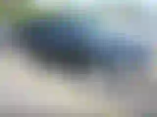 Vehicle Image- 2019 Toyota Prius