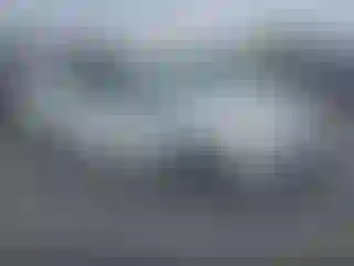 Vehicle Image- 2019 Toyota Prius