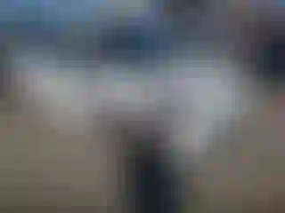 Vehicle Image- 2019 Toyota Prius