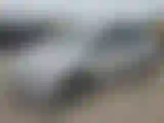 Vehicle Image- 2016 Toyota Prius