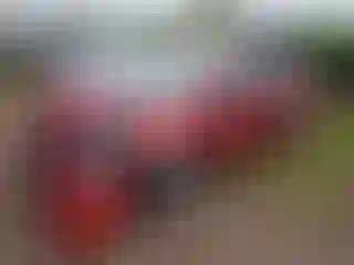 Vehicle Image- 2017 Toyota Prius