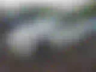Vehicle Image- 2016 Toyota Prius