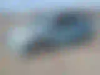 Vehicle Image- 2016 Toyota Prius