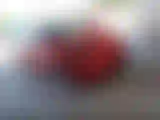 Vehicle Image- 2017 Toyota Prius