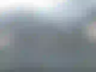 Vehicle Image- 2017 Toyota Prius