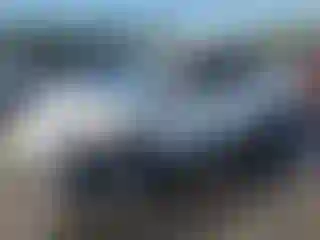 Vehicle Image- 2019 Toyota Prius