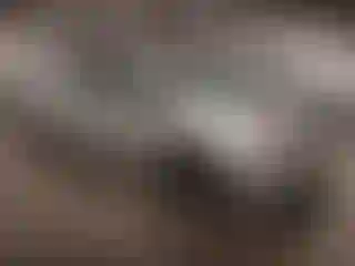 Vehicle Image- 2019 Toyota Prius