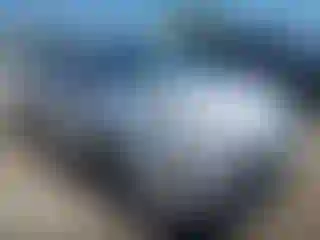 Vehicle Image- 2019 Toyota Prius