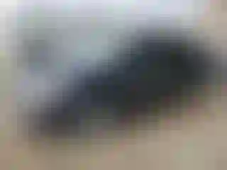 Vehicle Image- 2019 Toyota Prius