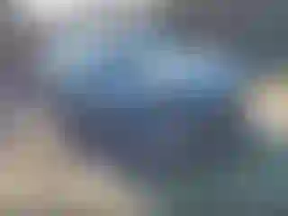 Vehicle Image- 2019 Toyota Prius