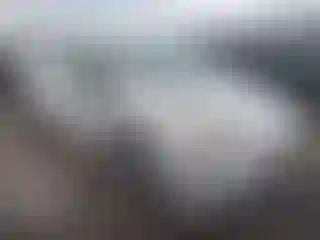 Vehicle Image- 2019 Toyota Prius