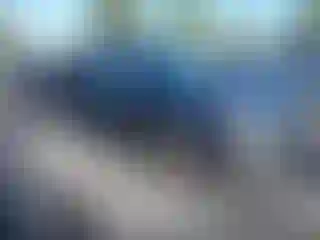 Vehicle Image- 2019 Toyota Prius