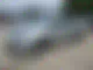 Vehicle Image- 2016 Toyota Prius