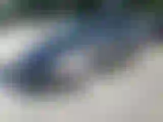 Vehicle Image- 2016 Toyota Prius