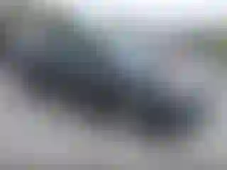 Vehicle Image- 2019 Toyota Prius