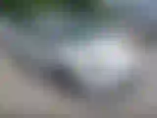 Vehicle Image- 2020 Toyota Prius