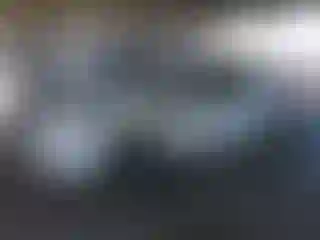 Vehicle Image- 2017 Toyota Prius