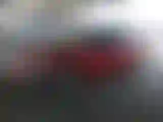 Vehicle Image- 2017 Toyota Prius