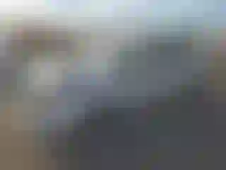Vehicle Image- 2018 Toyota Prius