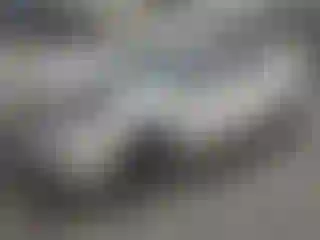 Vehicle Image- 2019 Toyota Prius
