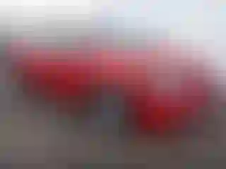 Vehicle Image- 2019 Toyota Prius