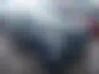 Vehicle Image- 2004 Toyota Prius