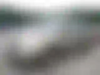 Vehicle Image- 2004 Toyota Prius