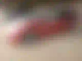 Vehicle Image- 2004 Toyota Prius