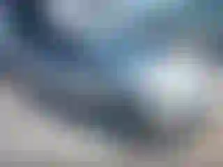 Vehicle Image- 2005 Toyota Prius