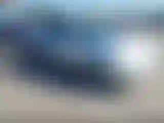 Vehicle Image- 2005 Toyota Prius