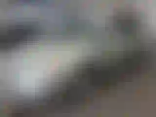 Vehicle Image- 2006 Toyota Prius